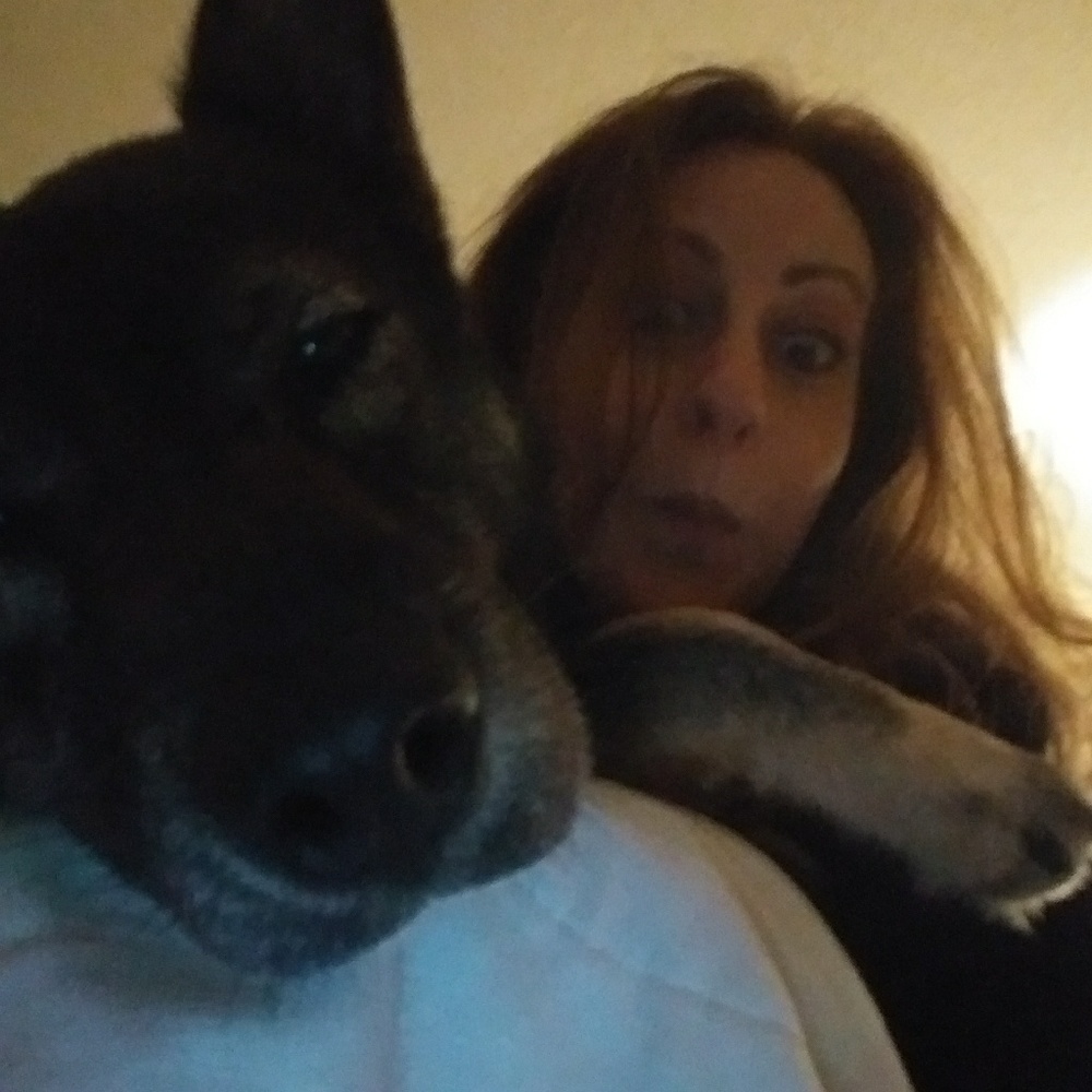 Hey it's me, Brooke! Hi, hello doggo here too!